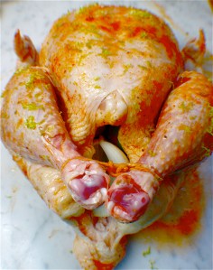 Rubbed, stuffed, and ready to roast!